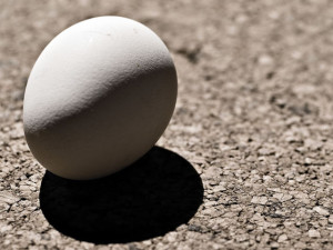 egg