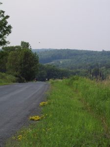 Central new york state