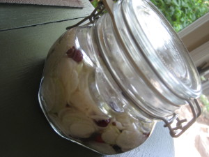 Fermenting vegetables. Radishes with Juneberries and coriander...wonder how this will taste?